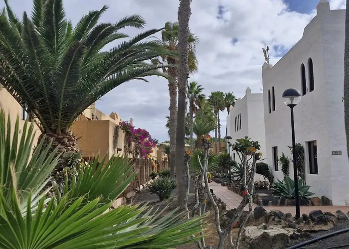 Casa Surf Oasis コラレホ